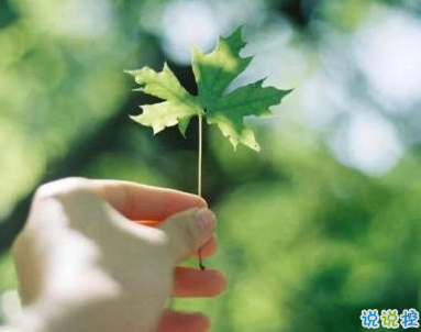 描寫春天的唯美句子帶圖片 2019適合春天的微信說說句子9