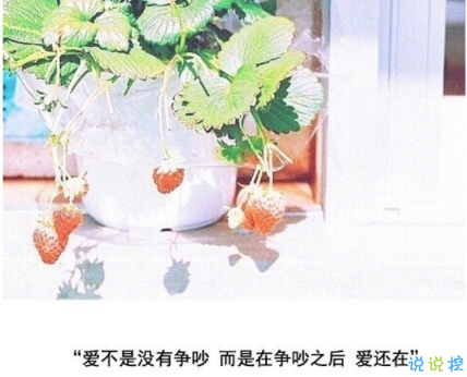 很唯美的愛(ài)情說(shuō)說(shuō)帶圖片大全 別因?yàn)樘珢?ài)一個(gè)人而失去了自己4