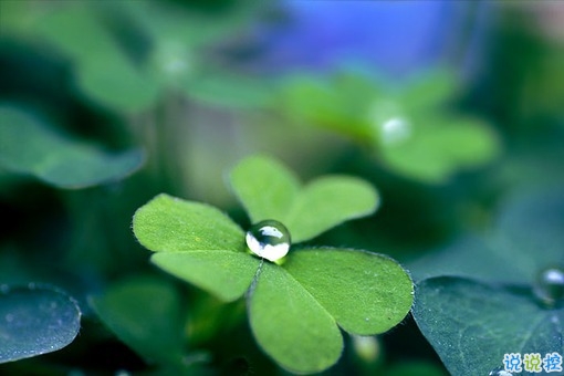 2019年二月你好早安朋友圈說說 再見一月你好二月唯美說說配圖2