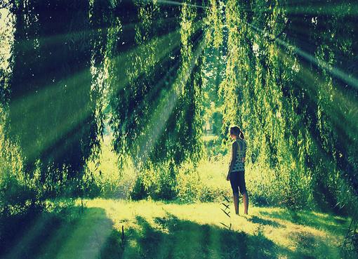 關(guān)于愛情中的失望和難受的說說帶圖片 失望攢夠了我自然會走2