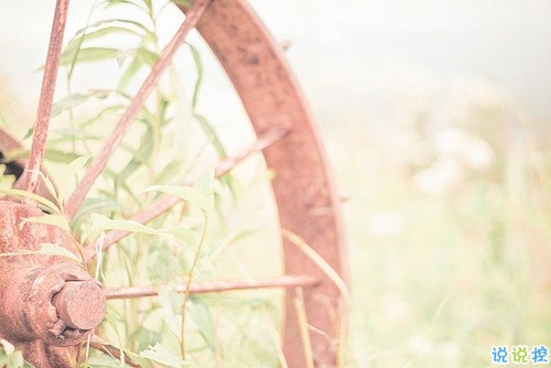 再見(jiàn)十月你好十一月個(gè)性說(shuō)說(shuō)帶圖片 11月請(qǐng)對(duì)我好一點(diǎn)心情說(shuō)說(shuō)9