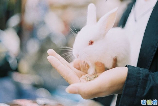 關(guān)于愛(ài)情簡(jiǎn)單又有道理的句子配圖 愛(ài)情是一個(gè)人的天荒地老11