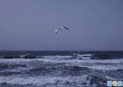 致自己的一句話個性說說帶圖片 想要訴說自己心情的說說7