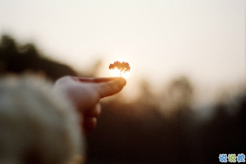 讓對(duì)方讀到就覺得心疼的傷感句子 一個(gè)人硬撐下去的傷感句子1