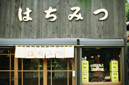 溫暖的小清新文藝句子帶圖片 想把自己的全世界都給你4