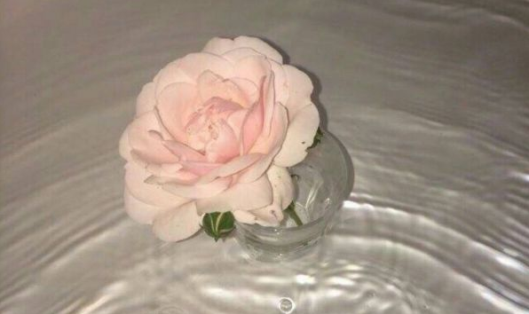 超經(jīng)典的英文說說帶圖片 Opportunities do not wait.10