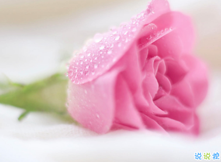 生活很現(xiàn)實的經(jīng)典說說帶圖片 關(guān)于生活的勵志說說配圖14