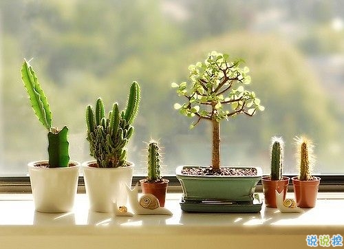 2019四月朋友圈小清新句子帶圖片 四月你好淡淡的陽光淡淡的風2