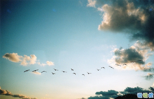 2019微信樂觀勵志的句子帶圖片 經(jīng)典勵志說說心情短語3