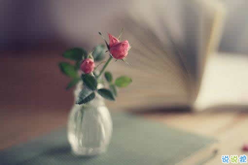 唯美英文勵志正能量感悟人生的句子和圖片10