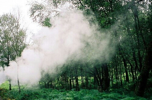 經(jīng)典的英文哲理說說帶圖片 小清新和文字控喜歡的英文說說4