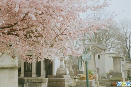 真正喜歡一個人是什么樣子？1