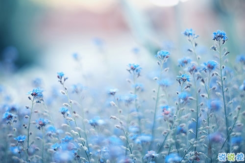 很有深度的微信勵志說說帶圖片 說出來很扎心但很值得學(xué)習(xí)的說說12