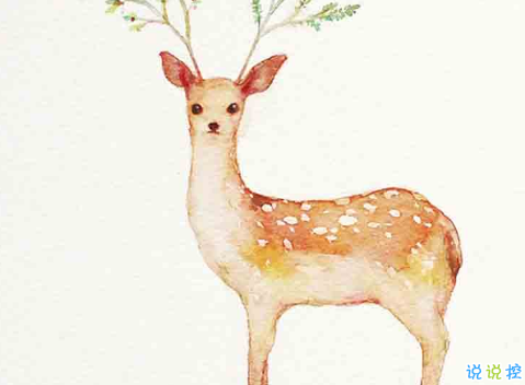 文字控偏愛的簡單文藝圖片句子 往后余生風(fēng)雪是你平淡是你5