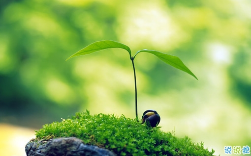 很特別的早安說說大全帶圖片 朋友圈早安心語獨(dú)一無二吸引人15