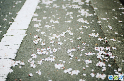 最火情侶說(shuō)說(shuō)秀恩愛(ài)短句帶圖片 超級(jí)喜歡一個(gè)人的說(shuō)說(shuō)13