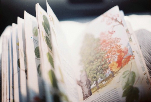 關(guān)于愛(ài)情的有意思的文藝句子 愛(ài)她是我做過(guò)的最好的事10