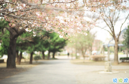 最火情侶說(shuō)說(shuō)秀恩愛(ài)短句帶圖片 超級(jí)喜歡一個(gè)人的說(shuō)說(shuō)3