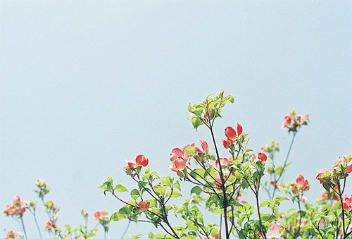 喜歡一個(gè)人的甜蜜小情話說(shuō)說(shuō)帶圖片 不愿再研墨執(zhí)筆因?yàn)樽掷镄虚g全是你10