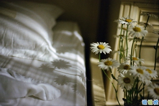 2019最新qq經(jīng)典說說帶圖片 句句真理值得學(xué)習(xí)的說說2