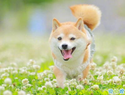 太陽好大好熱的說說 太陽毒辣的微信說說配圖8