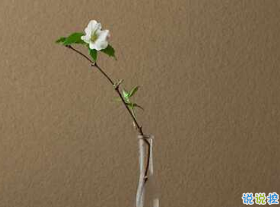 很現(xiàn)實(shí)的人生感悟經(jīng)典句子 人生感悟句句精辟帶圖片4