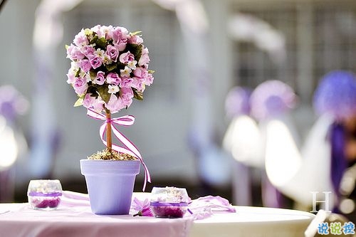 2019四月朋友圈小清新句子帶圖片 四月你好淡淡的陽光淡淡的風11