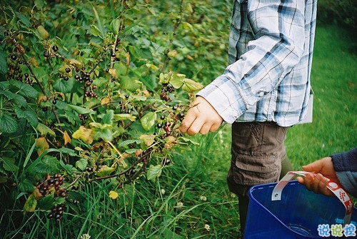 激勵(lì)我們在人生之路上繼續(xù)走下去的勵(lì)志句子 很正能量陽光的句子2
