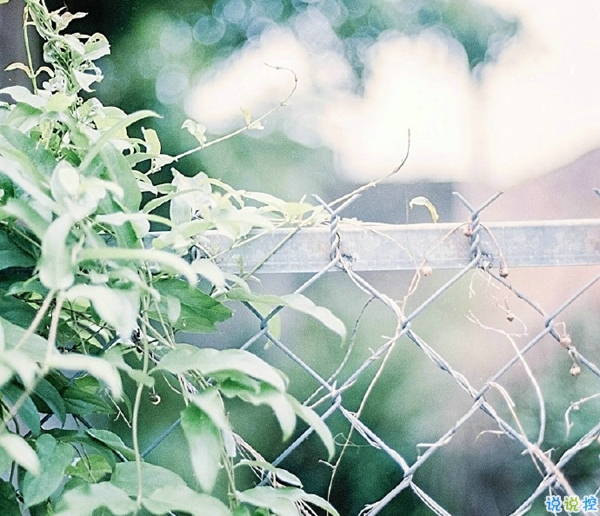 關于一個人旅行的精辟哲理說說帶圖片 每一次旅行其實都是一場修行4