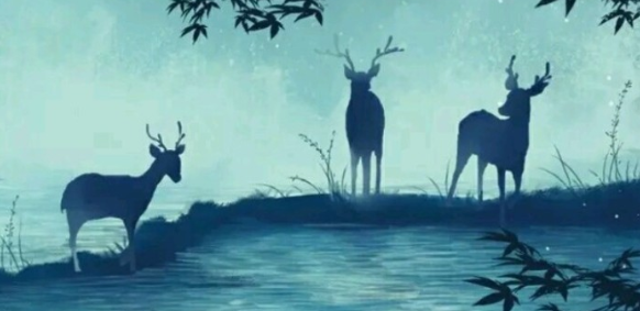 充滿詩意的唯美文藝說說帶圖片7