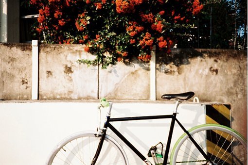 適合喜歡一個人時發(fā)的甜蜜愛情說說帶圖片 ?有你有我有吃的就又是美好的一天6