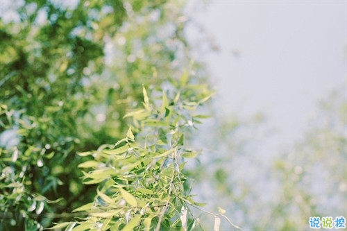 2019朋友圈個(gè)性說說必點(diǎn)贊的 非常吸引人的微信說說獨(dú)一無二14