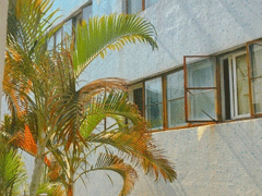 適合十一月發(fā)朋友圈溫暖人心的文案 放棄不難但堅持一定很酷