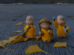 秋天再見(jiàn)冬天你好的經(jīng)典文案 秋天的不甘該通通放下了