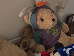 感慨冬季來臨的心情說說 適合立冬發(fā)朋友圈的文案