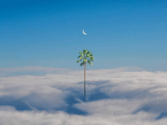 適合寫(xiě)明信片的小句子合集 生生燈火明暗無(wú)輒