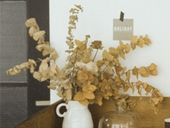 讓你一眼就能愛上的句子 江月何曾皺眉