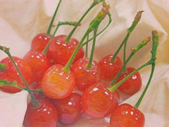 超甜蜜的句子少女心炸裂的情話 適合表白時(shí)說(shuō)的句子