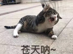 2018搞笑句子越短越好精選 簡短的搞笑句子一句話笑死人