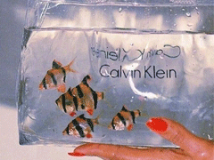 朋友圈內(nèi)涵語錄帶圖片 不要向?qū)Ψ奖г雇患? data-Q5Ij=