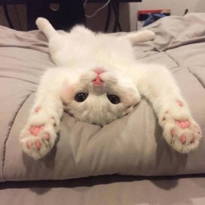 調(diào)皮搞怪的說說超短搞笑 明天再喜歡你吧我今天真的太困了