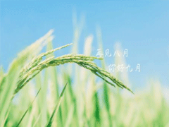 九月你好勵志說說 2019九月抖音勵志說說心情