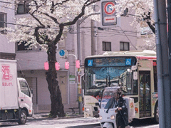 15句愛國(guó)的經(jīng)典語錄 愛國(guó)一種光榮的義務(wù)