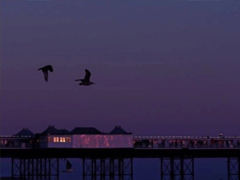 氣質(zhì)唯美適合各種心情的句子 一個(gè)人散步是和地球單獨(dú)的約會(huì)