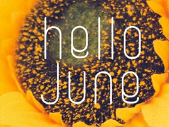 六月你好微信唯美句子 適合6月的說說好聽唯美2020