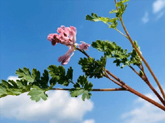 四月唯美簡短心情說說 2020四月你好說說句子