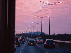 唯美說說心情句子帶圖片 既然生便與夏花一樣的絢爛