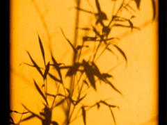 金九銀十再見(jiàn)九月 你好十月在生活中成長(zhǎng)