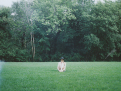 激勵(lì)我們在人生之路上繼續(xù)走下去的勵(lì)志句子 很正能量陽光的句子