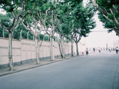 2019寫小寒的抒情句子大全 最新小寒節(jié)氣微信朋友圈祝福語句子